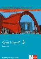 bokomslag Cours intensif Neu 3. Grammatisches Beiheft