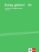 bokomslag Kolay gelsin! Türkisch für Fortgeschrittene. Lösungsheft zu Lehr-und Arbeitsbuch