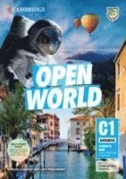 bokomslag Open World Advanced