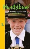 bokomslag Hundsbua! Schimpfen und Fluchen auf Bairisch