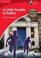 bokomslag A Little Trouble in Dublin