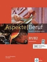 bokomslag Aspekte Beruf B1/B2 Brückenelement