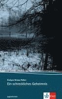 Ein schreckliches Geheimnis