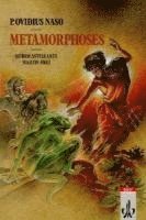 Karl H. von Rothenburg - P. Ovidius Naso: Metamorphoses, Häftad