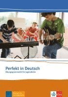 bokomslag Perfekt in Deutsch