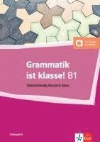 bokomslag Grammatik ist klasse! B1