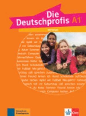 bokomslag Die Deutschprofis