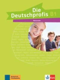 bokomslag Die Deutschprofis B1. Wörterheft