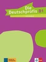 Die Deutschprofis 1