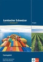 bokomslag Lambacher Schweizer für berufliche Gymnasien. 12. und 13. Schuljahr. Trainingsheft Analysis. Baden-Württemberg