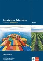 bokomslag Lambacher Schweizer für berufliche Gymnasien. 12. und 13. Schuljahr. Trainingsheft Analysis. Baden-Württemberg