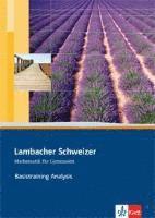 bokomslag Lambacher Schweizer. Sekundarstufe II. Basistraining Analysis