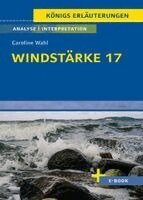 Windstärke 17 von Caroline Wahl, Häftad