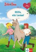 bokomslag Bibi & Tina: Hilfe, ein Lama!