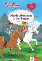 bokomslag Bibi & Tina: Pferde-Abenteuer in den Bergen