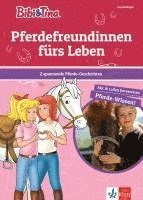 bokomslag Bibi & Tina: Pferdefreundinnen fürs Leben