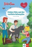 bokomslag Bibi & Tina: Fohlen Felix und der verflixte Schnupfen