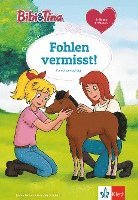 bokomslag Bibi & Tina: Fohlen vermisst!