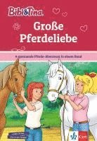 bokomslag Bibi & Tina: Große Pferdeliebe