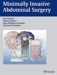 bokomslag Minimally Invasive Abdominal Surgery