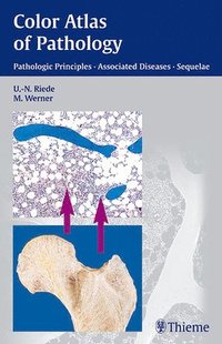 bokomslag Color Atlas of Pathology: Pathologic Principles, Associated Diseases, Sequelae