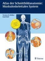 bokomslag Atlas der Schnittbildanatomie: Muskuloskelettales System