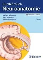 bokomslag Kurzlehrbuch Neuroanatomie