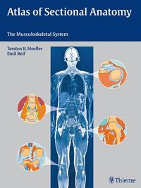 bokomslag Atlas of Sectional Anatomy: The Musculoskeletal System
