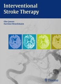 bokomslag Interventional Stroke Therapy