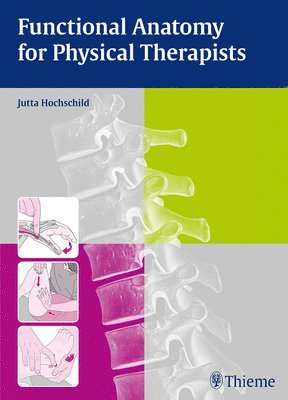 Functional Anatomy for Physical Therapists 1