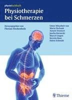 bokomslag Physiotherapie bei Schmerzen