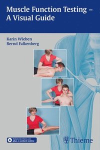 bokomslag Muscle Function Testing - a Visual Guide
