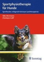 Sportphysiotherapie für Hunde 1