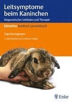 bokomslag Leitsymptome beim Kaninchen