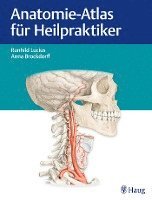 bokomslag Anatomie-Atlas für Heilpraktiker