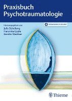 bokomslag Praxisbuch Psychotraumatologie