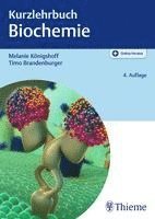 bokomslag Kurzlehrbuch Biochemie