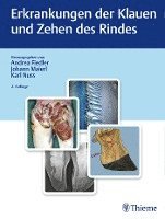 Erkrankungen der Klauen und Zehen des Rindes 1