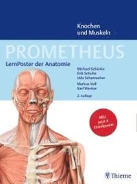 bokomslag Prometheus, LernPoster der Anatomie, Knochen und Muskeln, 4 Poster