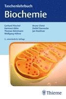 bokomslag Taschenlehrbuch Biochemie