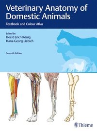 bokomslag Veterinary Anatomy of Domestic Animals