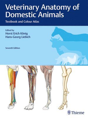 Veterinary Anatomy of Domestic Animals 1