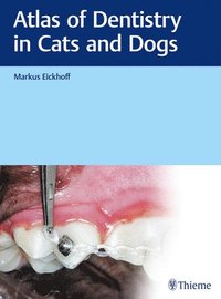 bokomslag Atlas of Dentistry in Cats and Dogs