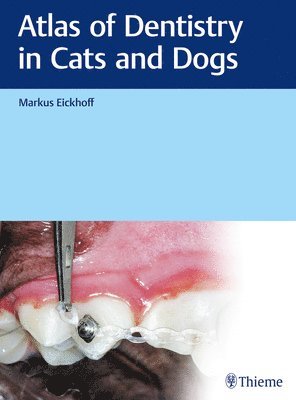 Atlas of Dentistry in Cats and Dogs 1