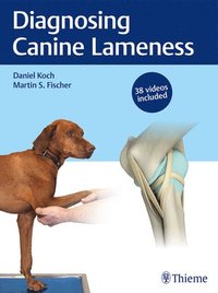 bokomslag Diagnosing Canine Lameness