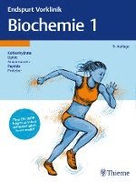 bokomslag Endspurt Vorklinik: Biochemie 1