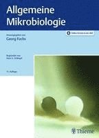 bokomslag Allgemeine Mikrobiologie