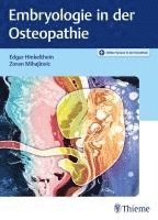 bokomslag Embryologie in der Osteopathie