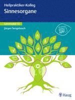 Jürgen Sengebusch - Heilpraktiker-Kolleg - Sinnesorgane - Lernmodul 13, Häftad