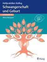 bokomslag Heilpraktiker-Kolleg - Erkrankungen rund um Schwangerschaft und Geburt - Lernmodul 16